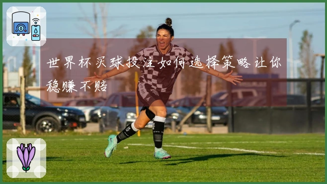 世界杯买球投注如何选择策略让你稳赚不赔