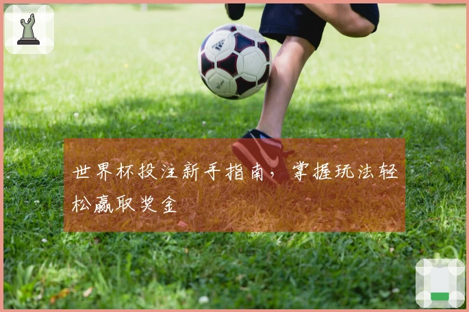 世界杯投注新手指南，掌握玩法轻松赢取奖金