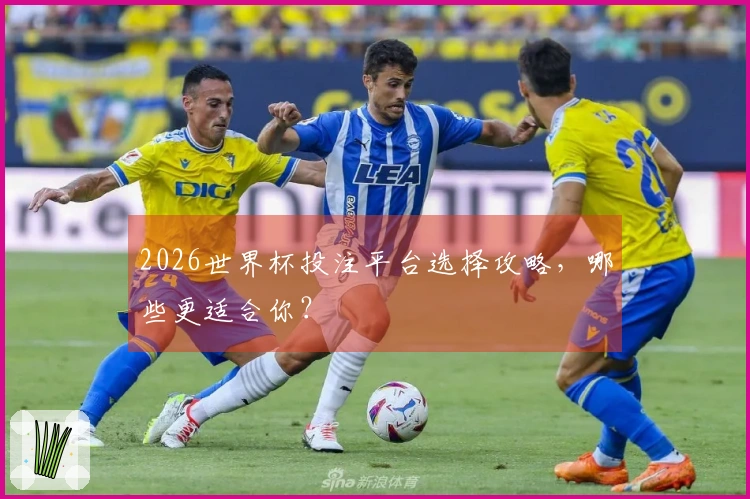 2026世界杯投注平台选择攻略，哪些更适合你？