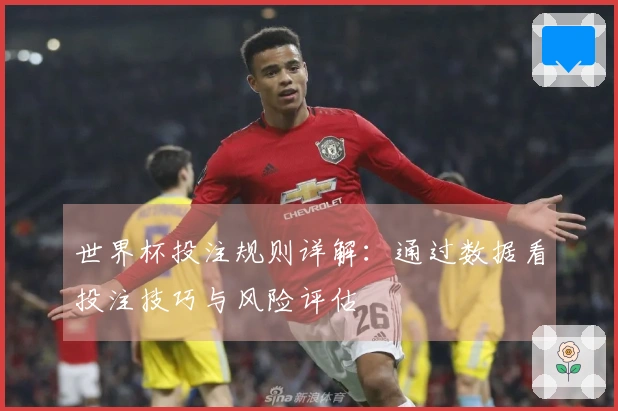 世界杯投注规则详解：通过数据看投注技巧与风险评估