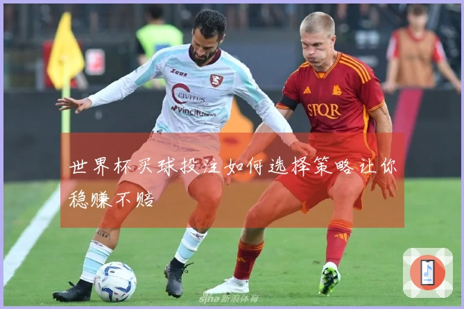 世界杯买球投注如何选择策略让你稳赚不赔
