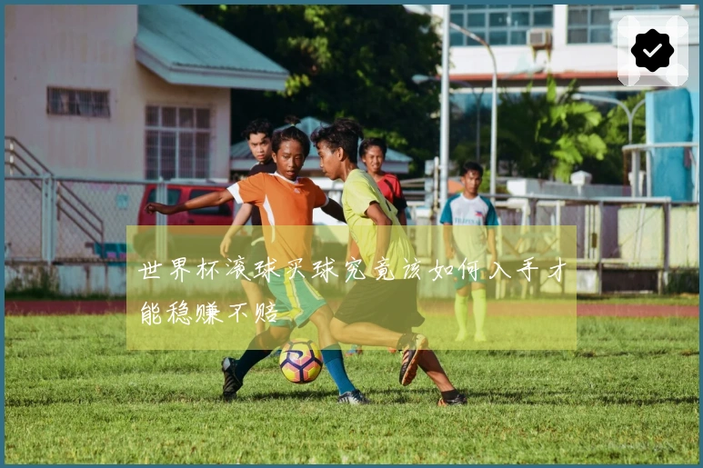 世界杯滚球买球究竟该如何入手才能稳赚不赔